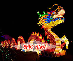 Prediksi Keberuntungan Shio Naga Di Tahun 2020 Kerja Usaha