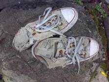 We did not find results for: Sepatu Intan Halaman All Kompasiana Com