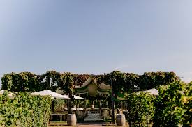 Wein direkt vom weingut mehling aus deidesheim in der pfalz. Eine Wunderschone Hochzeit Auf Dem Weingut Fitz Ritter Maria Luise Bauer Photography