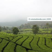 Tips liburan ke lembang angkutan umum. Panduan Tips Liburan Ke Bandung Dengan Asyik Dan Nyaman