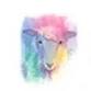 FIBRES WEST event image