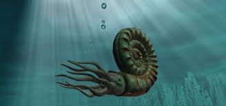 Watch movies online for free. Rescuing A 199 Million Year Old Ammonite Graveyard Natural History Museum