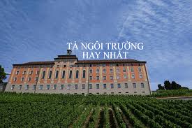 Thấm thoắt đã hơn bốn năm ngồi trên chiếc ghế trường tiểu học. Táº£ Ngoi TrÆ°á»ng Cá»§a Em Chá»n Lá»c Nhá»¯ng Bai VÄƒn Táº£ TrÆ°á»ng Há»c Hay Nháº¥t