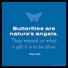 49 Best Butterfly Quotes And Inspiring Sayings Listcaboodle