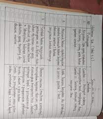We did not find results for: Jawaban Tabel 3 6 Ips Halaman 168 Brainly Co Id