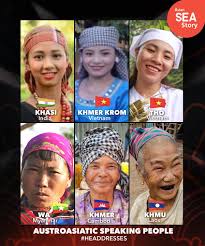 Image result for Austrosynotis