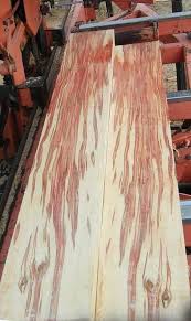 Box Elder Burlwoodtexture Burled Wood Woodworking Materials Wood
