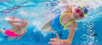 تداول رواد مواقع التواصل الاجتماعي في الآونة الأخيرة مقطع فيديو طريف لقطة سمينة تمارس رياضة السباحة من أجل خسارة الوزن الزائد، بعد أن أصبح وزنها ضعف الوزن الصحي. Ù…Ø¹Ù„ÙˆÙ…Ø§Øª Ø¹Ù† Ø§Ù„Ø³Ø¨Ø§Ø­Ù‡ Ù…ÙˆØ³ÙˆØ¹Ø©