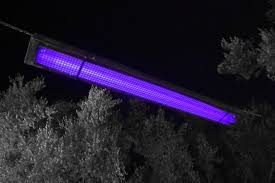 What Is A Black Light And How Does It Work