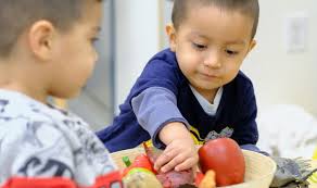 Annual Report 2023-2024