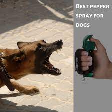 The Best Pepper Spray For Dog Attacks Lachrymators Com