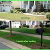 As grasses mature, thinning is normal—especially if you enjoy your lawn and use it often. Https Encrypted Tbn0 Gstatic Com Images Q Tbn And9gcqo Pu823icvj Pq1oeuliawlzejuhgi 0aco5ofj Cdxsxdgn1 Usqp Cau