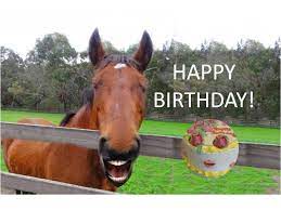 Happy birthday horse gif images. Funny Horse Singing Happy Birthday Happy Birthday Horse Funny Happy Birthday Messages Funny Happy Birthday Song