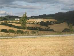 Steinkjer kommune ligger rundt indre og nordvestre side av beitstadfjorden. Figur 2 Hostede Kornakre I Steinkjer Kommune Akre Med Spillkorn Etter Download Scientific Diagram
