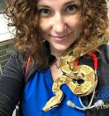 This beautiful common boa constrictor is showing off her amazing oral  anatomy! Swipe 👈🏼 Snakes (like birds) have a hole in the roof of their  mouth called the choana that communicates to