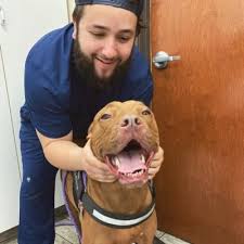 Abby Donegan (@AbbyDonegan)