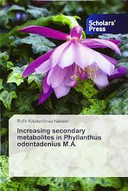 Image result for Phyllanthus odontadenius