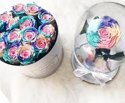 Weisse Blumenbox Oder Rosenkuppel Mit Weissem Boden Wir Konnen Uns Nicht Entscheiden Die Infinity Rose Im Einhorn L Rosen Im Glas Luxuriose Geschenke Rosen Box