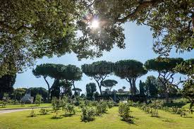 صور ومسجات صباح الخير وأجمل العبارات عن الصباح، تغريدات صباحية جميلة جداً لاتفوتكم. 9 402 Trees Roses Photos Free Royalty Free Stock Photos From Dreamstime