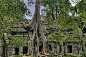 Walaupun semua langkah tersebut tampak remeh, namun seandainya semau individu di dunia ini melakukan hal yang sedemikian, tidak mustahil pemanasan global tidak akan memberi impak yang lebih teruk pada masa. 10 Cara Mengatasi Pemanasan Global Gramedia Literasi