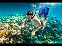 Free and easy in langkawi or proceed to jetty or airport for departure back home. Snorkeling Pulau Payar Langkawi Malaysia Youtube