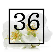 They may be returns from other customers, or come. Fashion Outlet Mode Gunstig Online Bestellen Qvc De