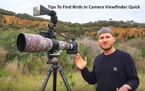 Tips To Find Birds In Camera Viewfinder Quick For Best Photo Birding Cameras Birds Birdphotgraphy Best Photo Camera Cool Photos Camera