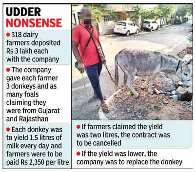 Donkey Milk Scam: Massive Donkey Milk Scam of Rs 10 Crore Exposed in Kalyana Karnataka | Bengaluru News - Times of India