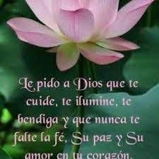 800 Imagenes Cristianas Con Frases De Dios En 2020 Desear Buenas Noches Frases Bonitas Buenas Noches