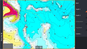 Lowrance C Map Precision Contour Mapping Hd Review