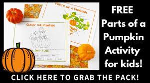 These kindergarten activities are the best at letting kids interact, play, move, and work with important learning. Pumpkin Activities For Preschoolers And Kindergarten