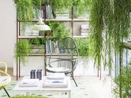 Are you looking to add a little zen to your home or office? The 10 Best Indoor Hanging Plants That Thrive In Apartments