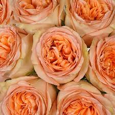 I wanted to show all of the flowers and how they arrived after order them online from costco to use in a wedding. Garden Roses Direct Reviews