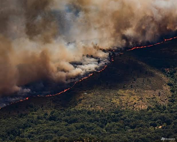 Spain declares national emergency over wildfires near Madrid and in Avila - CNA