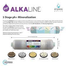 1 Year Alkaline Replacement Filter Cartridges For Ro System Set Of 10 Filters With Membrane 50 Gpd Water Filter Water Filters System Filters