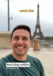 Understanding Golden Retriever Language: Tips for Effective Dog Training