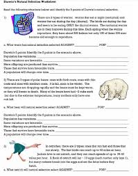 The answer key to darwin's natural selection worksheet is a different question every time you see it. Solved Darwin S Natural Selection Worksheet Read The Foll Chegg Com