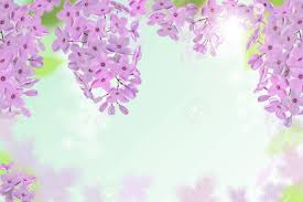 Le immagini sono in categorie. Vettoriale Sfondo Di Primavera Con Fiori Rosa E Viola Di Lilla Puo Essere Utilizzato Per Sfondo Carta Da Parati Banner Web Cartolina D Auguri Image 74393593