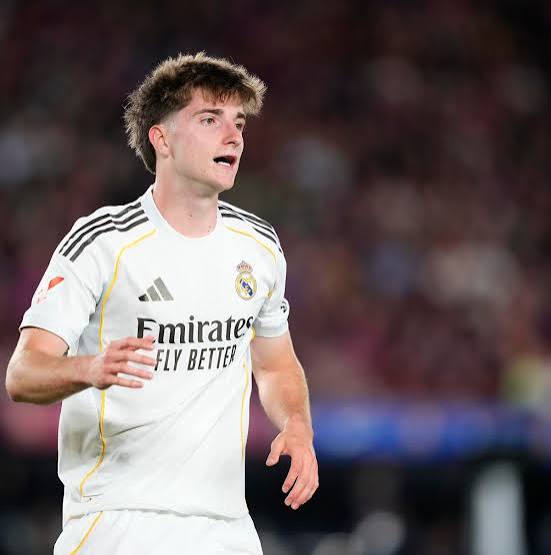 Florentino Pérez currently reluctant about Real Madrid signing Rodri -report | Managing Madrid