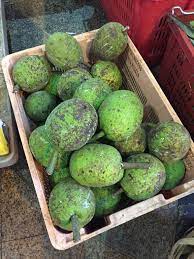 Untuk mengetahui apakah buah sukun dapat digunakan menjadi alternatif pangan darurat. Mashed Breadfruit Fritters Jemput Sukun Kodok Sukun Cekodok Sukun ç‚¸é¢åŒ…æžœçƒ Guai Shu Shu