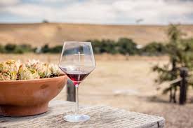 Santa Maria Wine Country