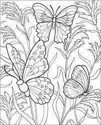 Butterfly Coloring Pages For Adults Best Coloring Pages For Kids Butterfly Coloring Page Coloring Pages Coloring Books