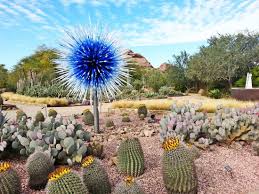 Maybe you would like to learn more about one of these? Gardening In Arizona 10 Ultimate Tips For The Beginners
