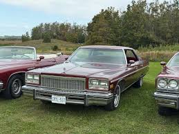 Image result for Indigo 1975 Buick