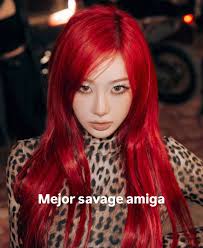 Fᵣₐₛₑₛ ₚₐᵣₐ ₘₒᵣᵣₒₛ ₑₛₜᵤₚᵢdₒₛ