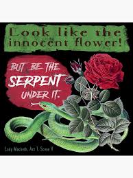 A page for describing quotes: Serpent Quote By Lady Macbeth Shakespeare Greeting Card By Bushwombat Redbubble