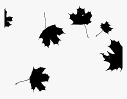 Transparent Maple Leaf Png Clipart Autumn Leaves Black And White Png Download Transparent Png Image Pngitem 64 black and white icons. transparent maple leaf png clipart
