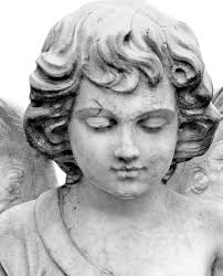 Wir ernten, was wir säen