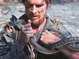 What kind of snake was used in this movie