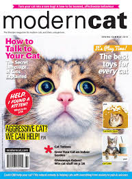 Here's our top pick for cbd oil. Modern Cat Spring Summer 2019 By Modern Cat Magazine Issuu